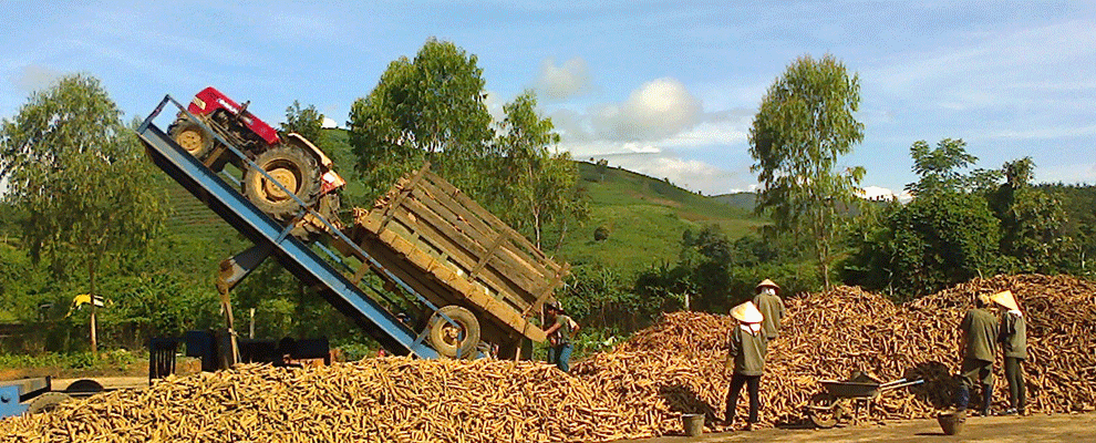 Kon[-]Tum:[-]Kiểm[-]tra,[-]gi&aacute;m[-]s&aacute;t[-]việc[-]khắc[-]phục[-]t&igrave;nh[-]trạng[-]&ocirc;[-]nhiễm[-]do[-]phơi[-]b&atilde;[-]m&igrave;[-]tươi[-]chưa[-]qua[-]xử[-]l&yacute;[-]